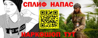 spice Моздок