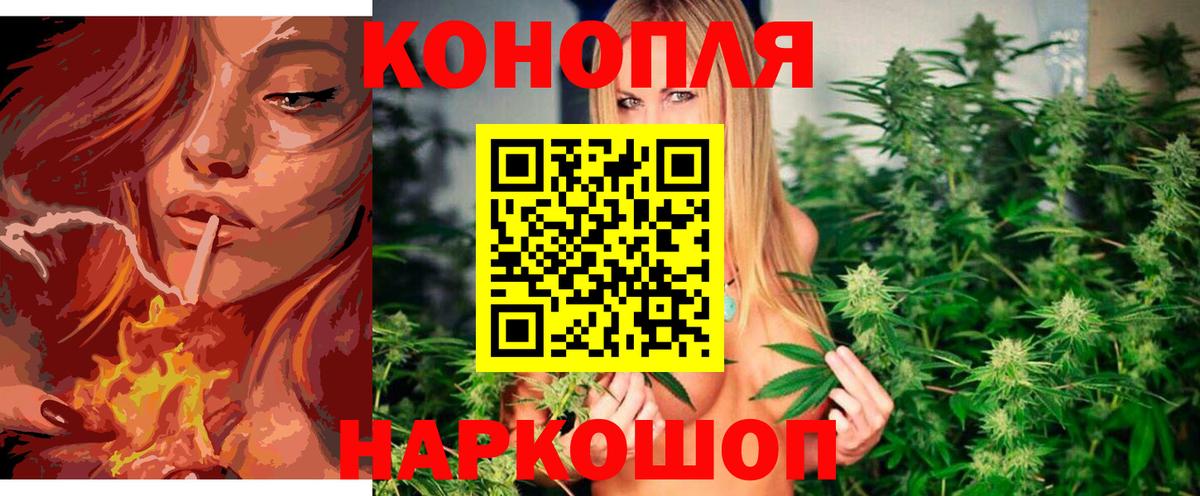 Канабис сатива Избербаш